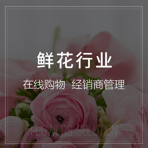 ERP系统定制：为企业量身打造管理方案