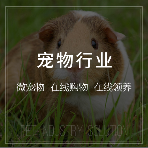旺铺猫商城系统的用户痛点解决方案