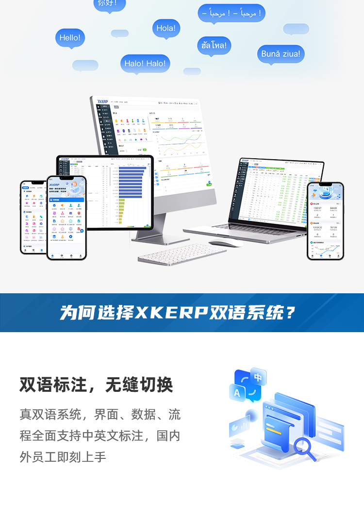 双语ERP系统-详情_03.png